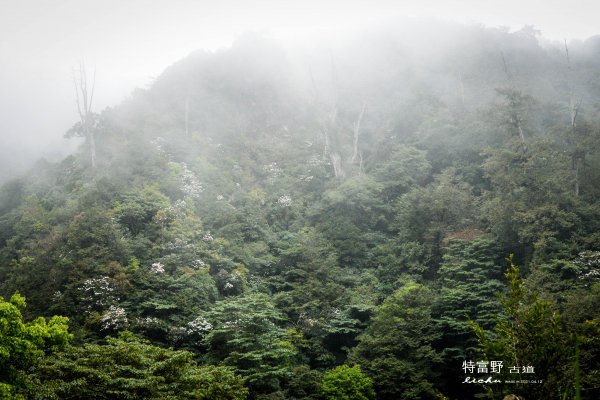 特富野古道1407540