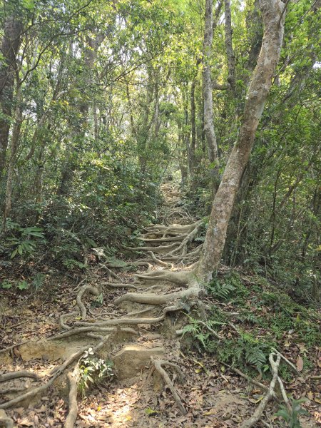 No.80小百岳-里龍山2759696