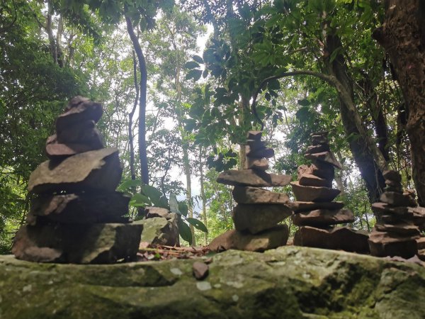 步道巡訪員 l 鳥嘴山步道 8月巡訪日誌1062383