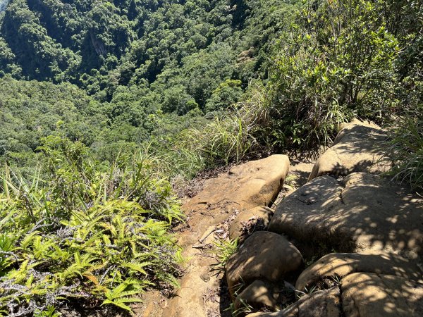 [微笑山線_第九段] 2025_0914 二格山系_皇帝殿東峰2889507