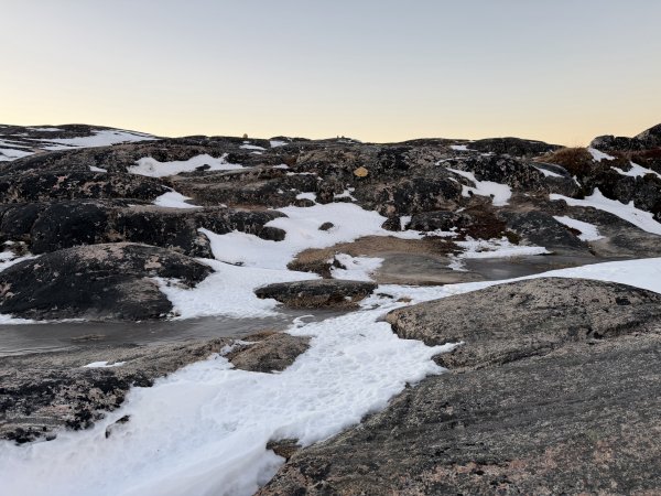 [紐約馬之行-40] 2025_1107 黃線步道-前2950529