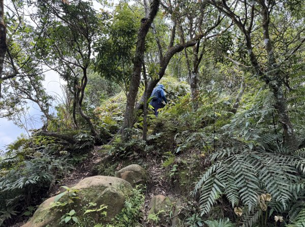 [微笑山線_第八段] 2026_0411 二格山系_筆架山南峰3035179