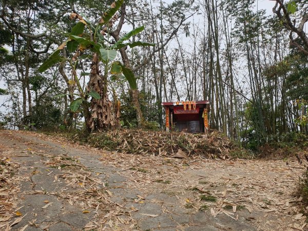 白雲山步道（小百岳）1334320