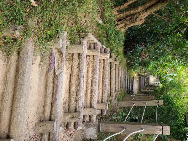 潭子新田山步道2698622