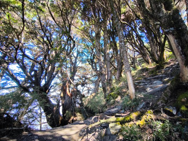 2026-02-09 庫哈諾辛山2998983