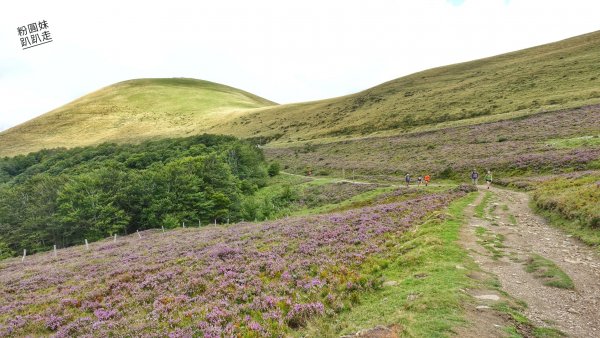 【勇氣2.0朝聖之旅】 D1庇里牛斯山賞雲海652988