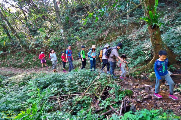 北勢溪古道、灣潭古道、烏山古道西段1280372