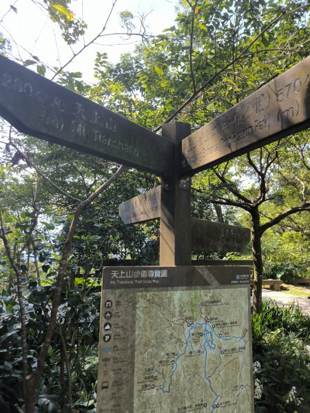 20250830天上山、旺旺嶺、太極嶺2874095