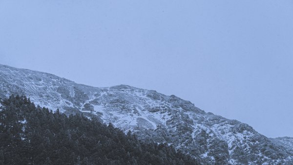 Mt.Jade -玉山冬雪915196