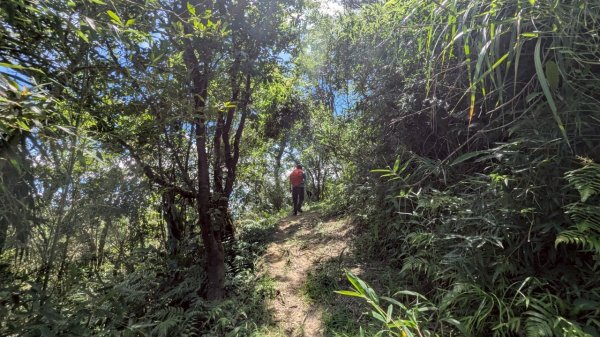 114.06.28內平林山-番子坑山-平湖森林遊樂區之O型2824217