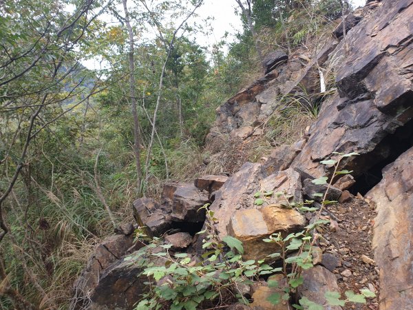 百川山、百川山東峰1552136