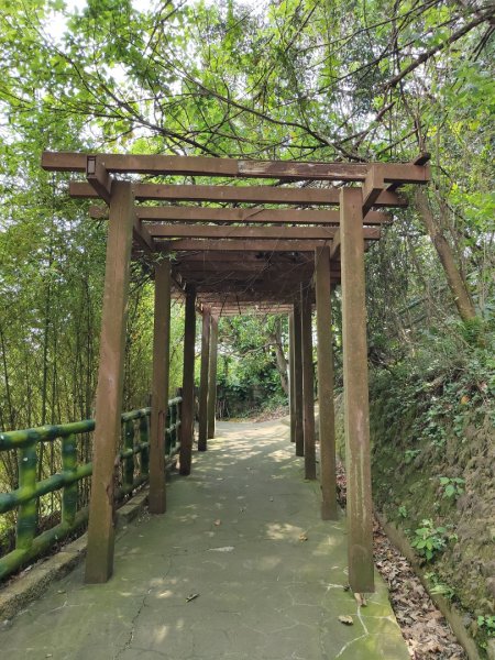 2024.03.17 竹東三山連走2900071