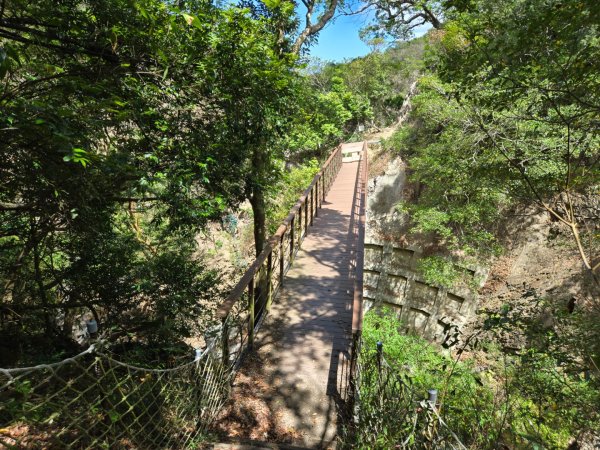 里龍山（小百岳）2788737