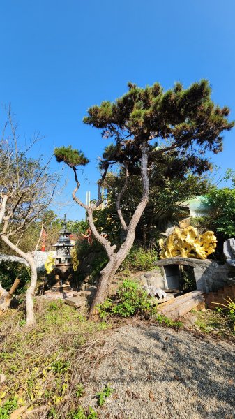 112/1/8苗栗縣頭屋鄉曲洞宮-墨硯山北峰-墨硯山-曲洞宮O型1992901