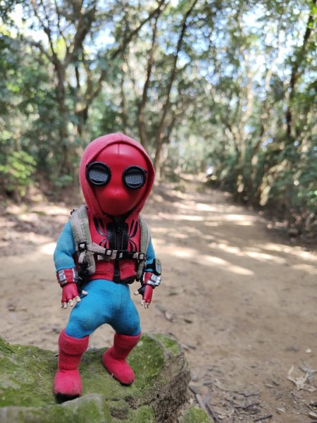 2024.01.02 飛鳳山2832158