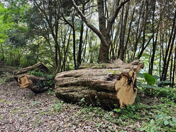 2025_0601 赫威山2802286