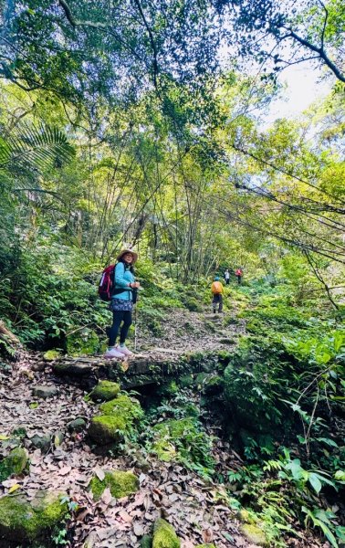 八結古道 頭寮山 慈湖3040529