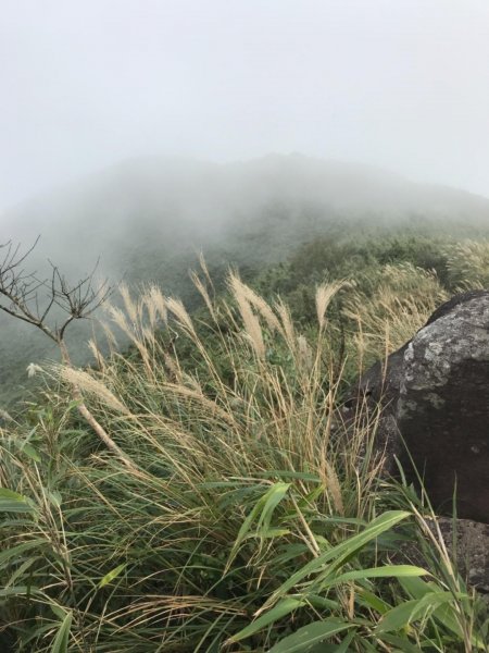 小觀音山群峰474899