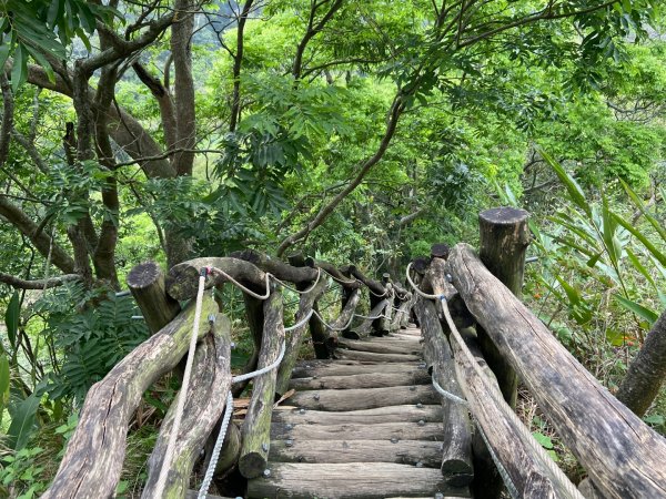 大坑2號原路來回2130462