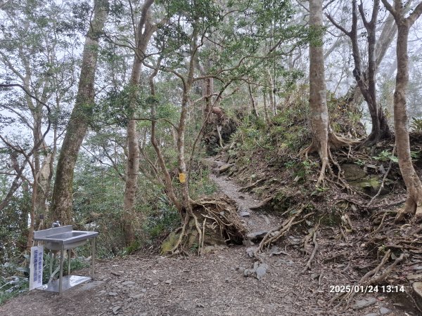 2025.01.24~26 北大武山 三天兩夜〈雲海、夕陽、檜木、鐵杉、藍天...〉2700329
