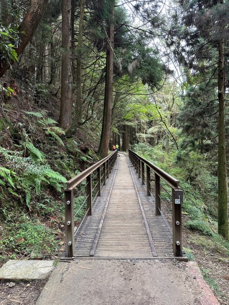 漫步特富野古道2371470