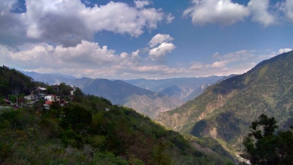  阿禮 井步山步道552422