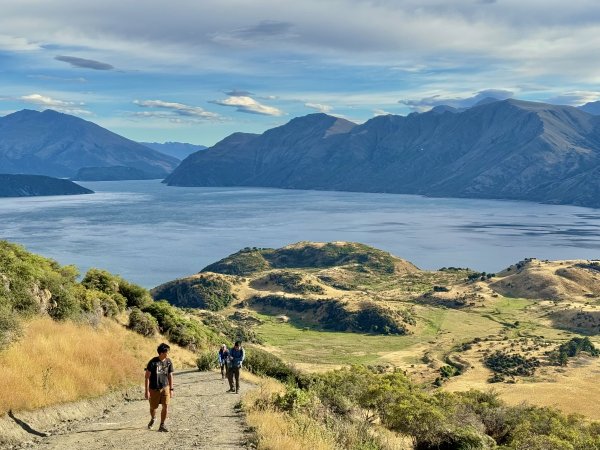 紐西蘭之旅-羅伊峰（Roy Peak ）Hiking 2025.1.282709647