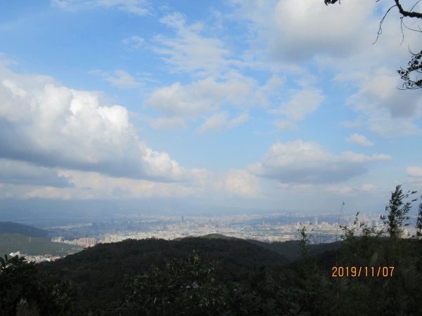 樹林大棟山918292