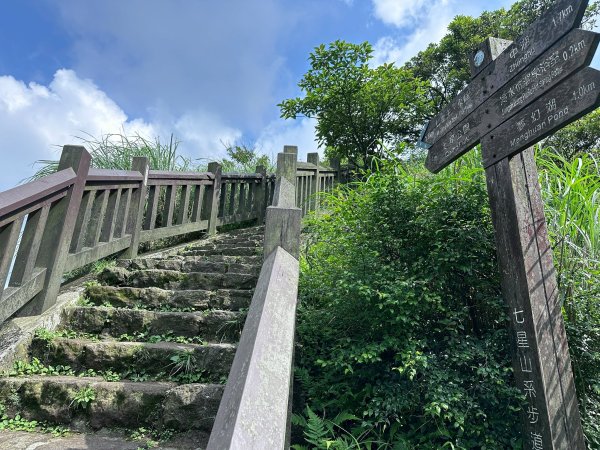 台北大縱走第三段2786901