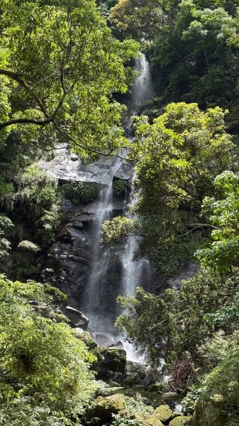 戲水（鴛鴦2786738