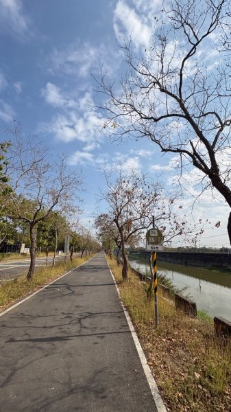 🚴‍♂️ 台南單車慢漫遊3003306