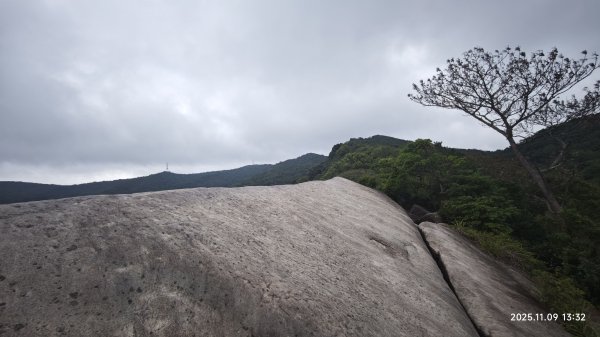 20251109 士林站到大湖站(福山宮_腰繞_燕溪古道_翠山步道_龍船岩_大溝溪)2932365