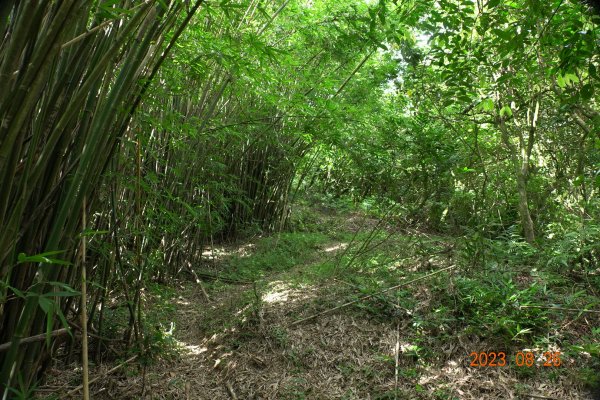 基隆 頂寮山、龍門山、五分山、頂子寮山2265940