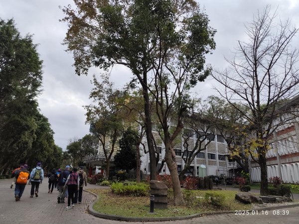 4-1 國立臺灣大學校園巡禮2691867