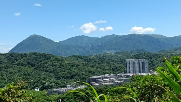 20250914＿五坑山2884115