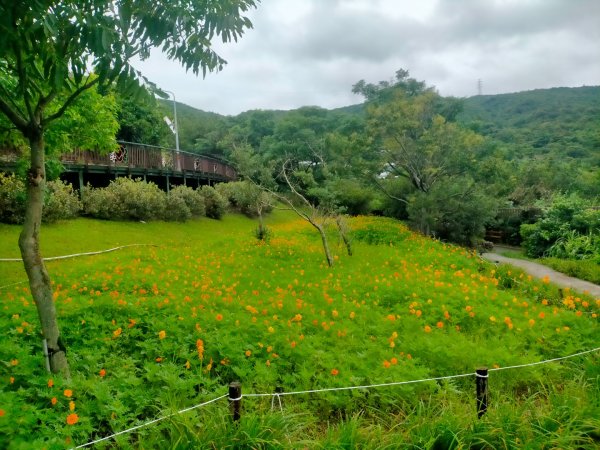 壹北大縱走第四段：風櫃嘴至大湖公園2809614