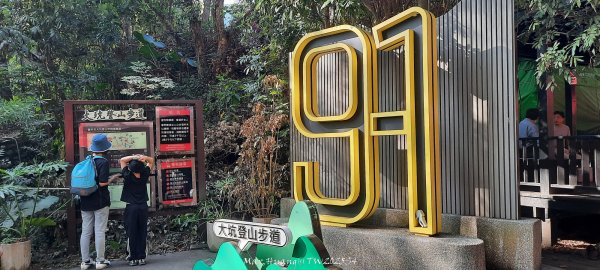 《台中》登山市集｜大坑9及9_1號步道上觀音亭20251220