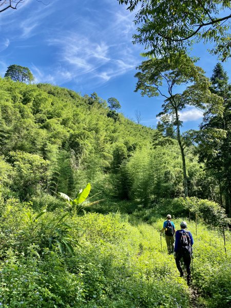台中和平登觀音山東北峰.神谷山.遠藤山東峰.竹林.達觀山    2022/6/291749928