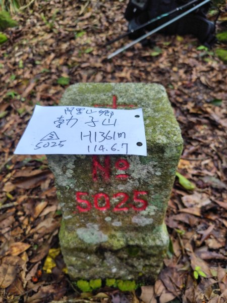 矢場谷山連走勃子山2805059