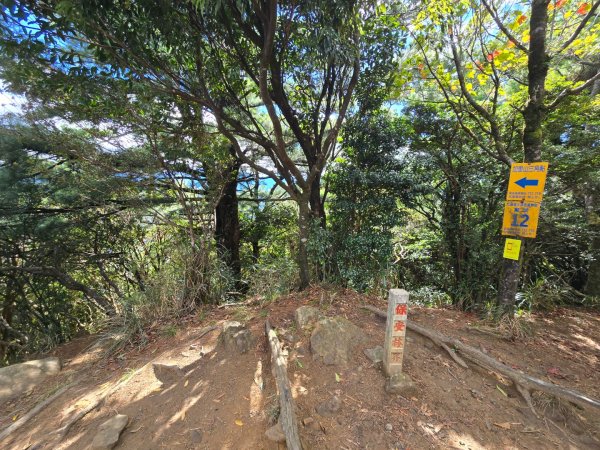 加里山（大坪登山口大O繞）2955452