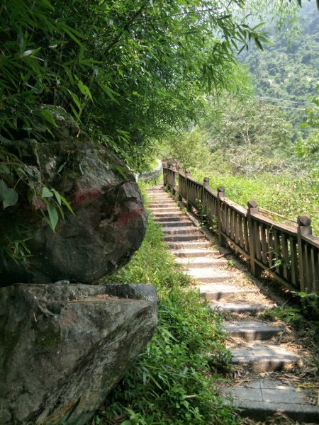 東埔彩虹步道1460759