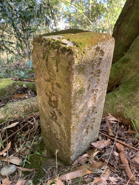 20250120高雄三縣界山-河表湖山-拉比嶺山-玉打山2697466