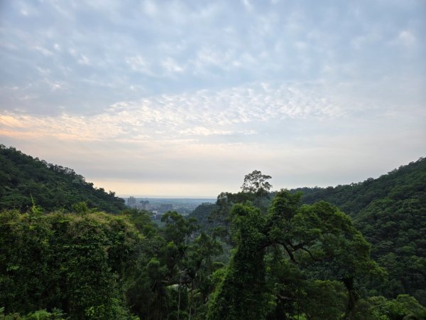 聖母登山步道（抹茶山）、三角崙山（小百岳）2774092