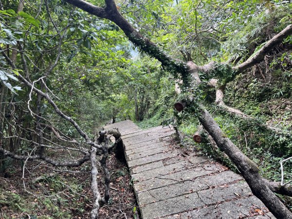 [微笑山線_第九段] 2025_0914 二格山系_皇帝殿西峰2889794
