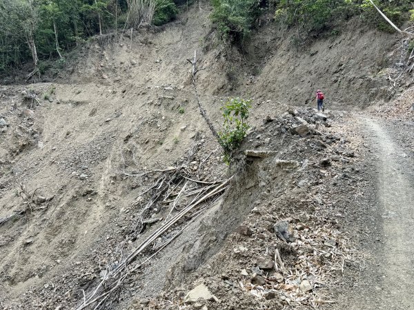 白雲山 202605023048419