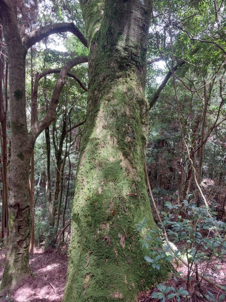 民都有山張學良故居202207091799099