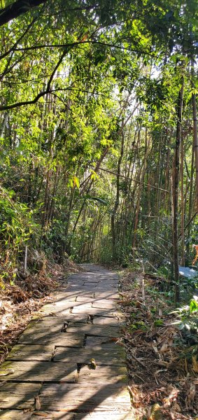 2025-01-30迷糊步道2704445