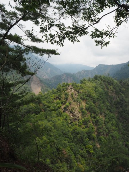 南投惠蓀林場杜鵑嶺松風山步道200404903336