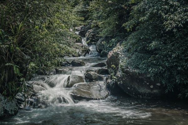 姜子寮瀑布與滑瀑1475250