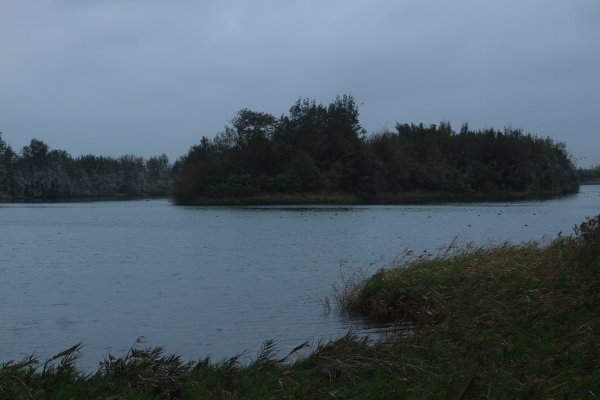 雲林．口湖椬梧滯洪池自行車道2023/01/012003604